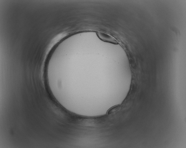 X0000116460104200912292015
