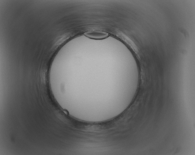 X0000116460105200912292015