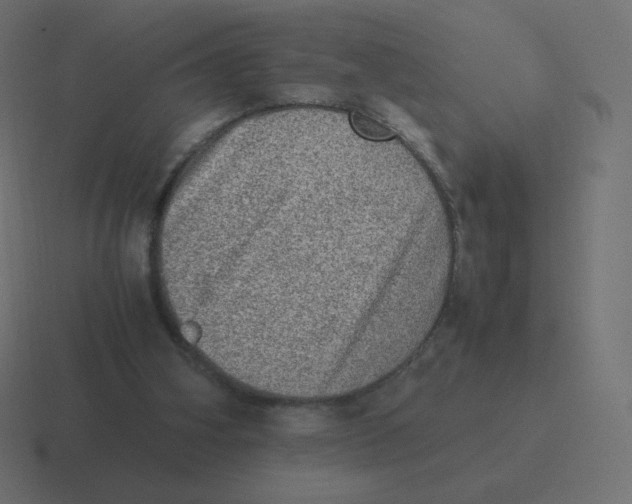 X0000116460106200912292015