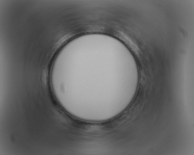 X0000116460107200912292015