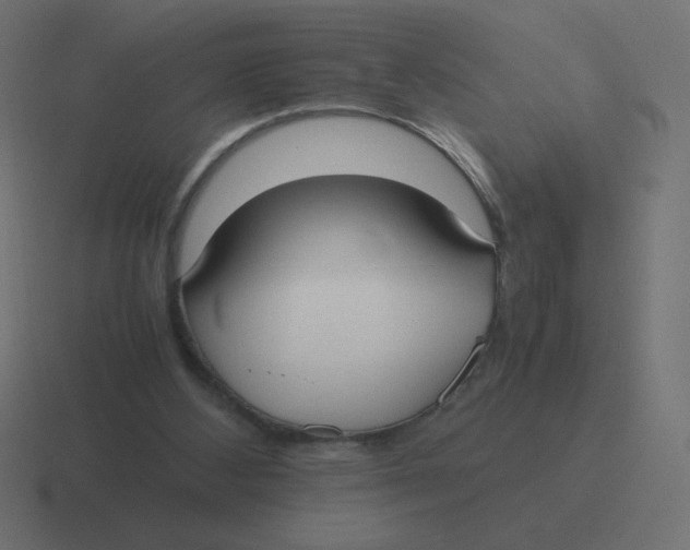 X0000116460108200912292015