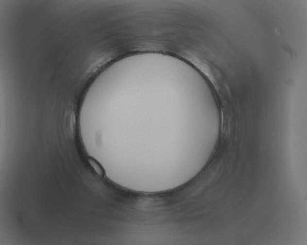 X0000116460109200912292015