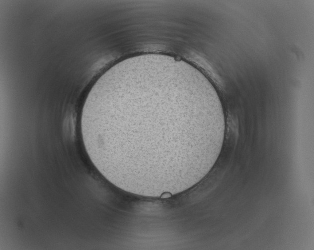 X0000116460110200912292015