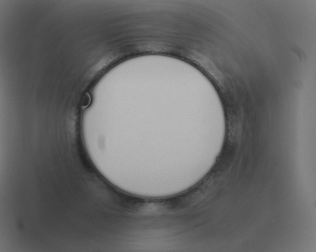 X0000116460111200912292015