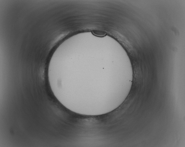 X0000116460112200912292015
