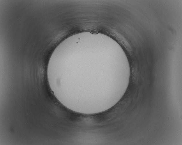 X0000116460113200912292015