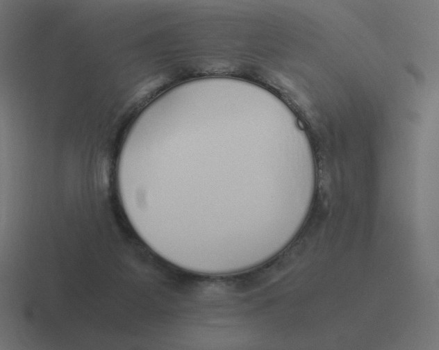 X0000116460115200912292015