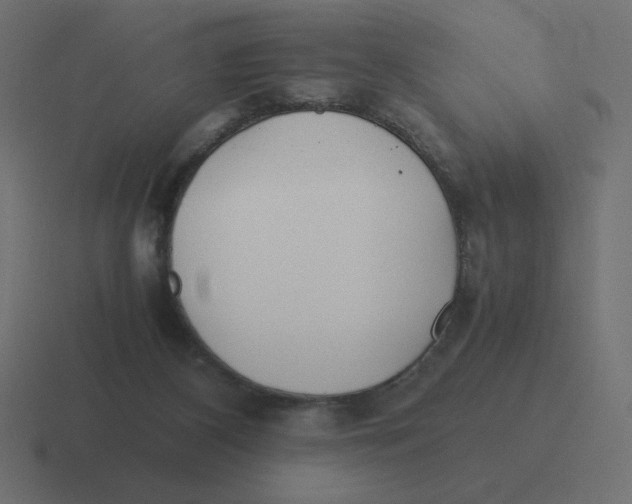 X0000116460116200912292015
