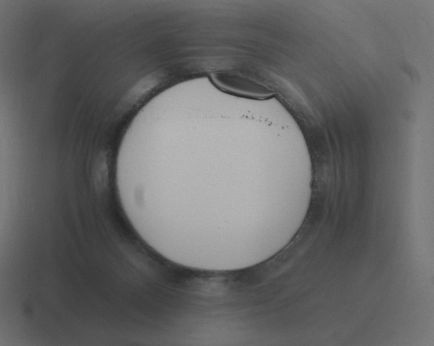 X0000116460120200912292015