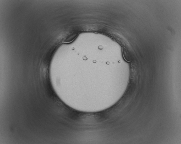 X0000116460123200912292015