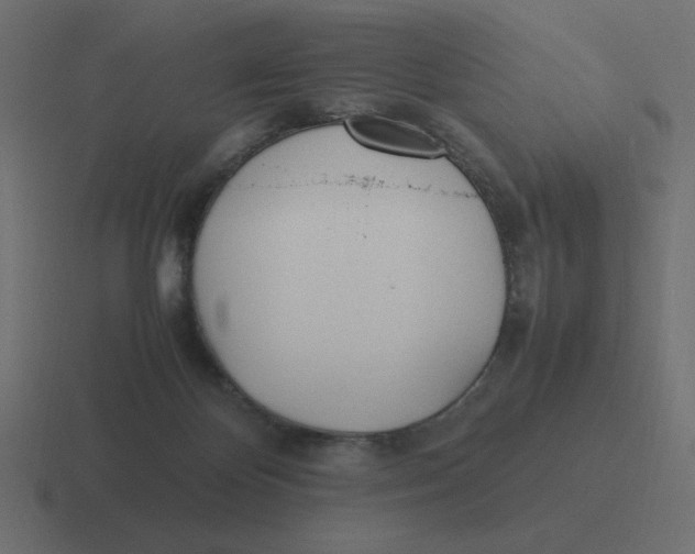 X0000116460124200912292015