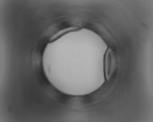 X0000116460125200912292014