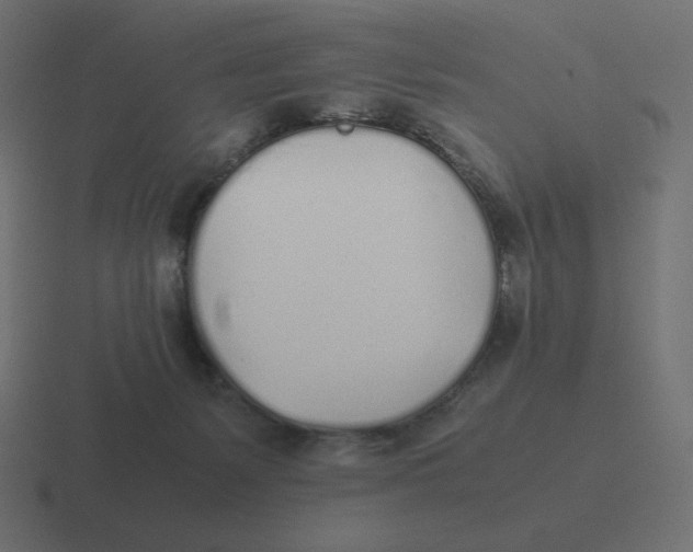 X0000116460127200912292014