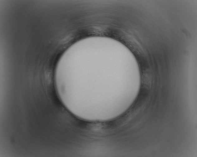 X0000116460131200912292014