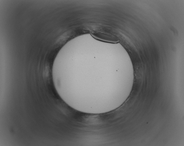 X0000116460132200912292014