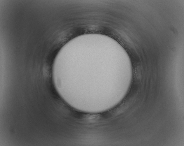 X0000116460135200912292014