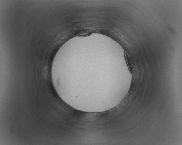 X0000116460136200912292014