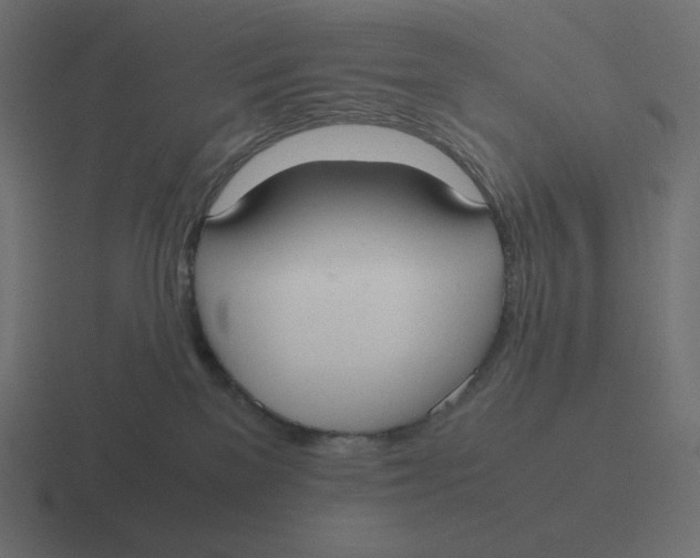 X0000116460137200912292014