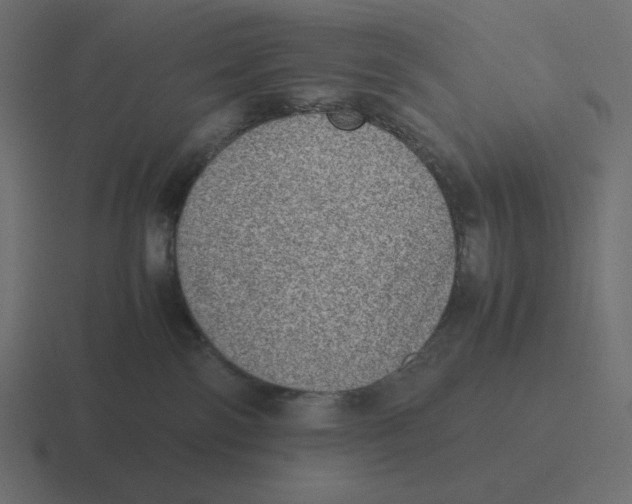 X0000116460138200912292014