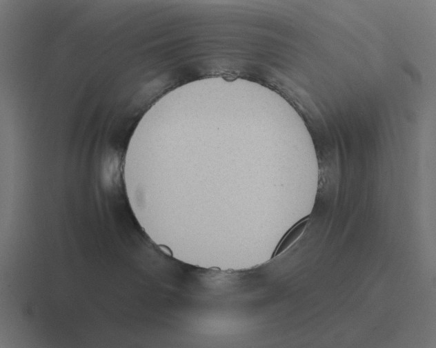 X0000116460142200912292014
