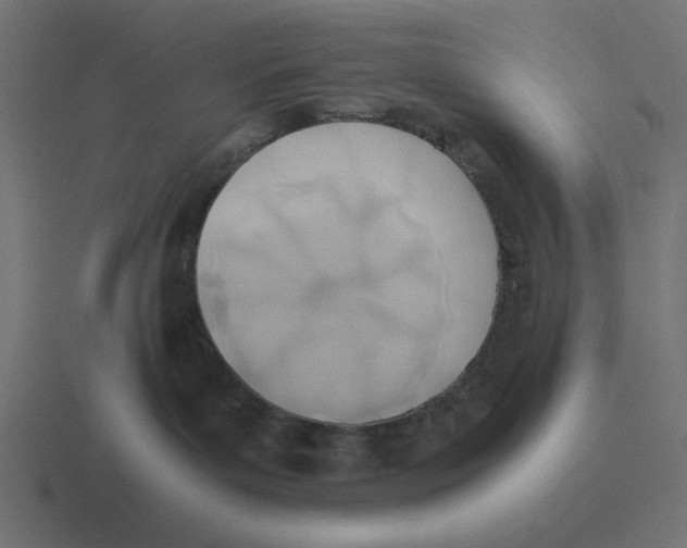 X0000116460143200912292014