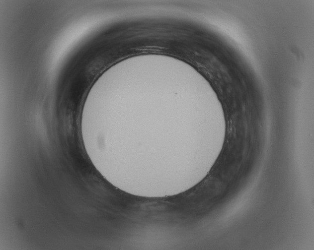 X0000116460146200912292014