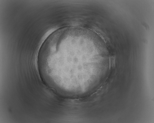 X0000116460147200912292014