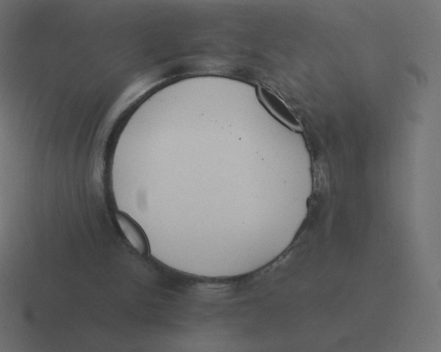 X0000116460150200912292014
