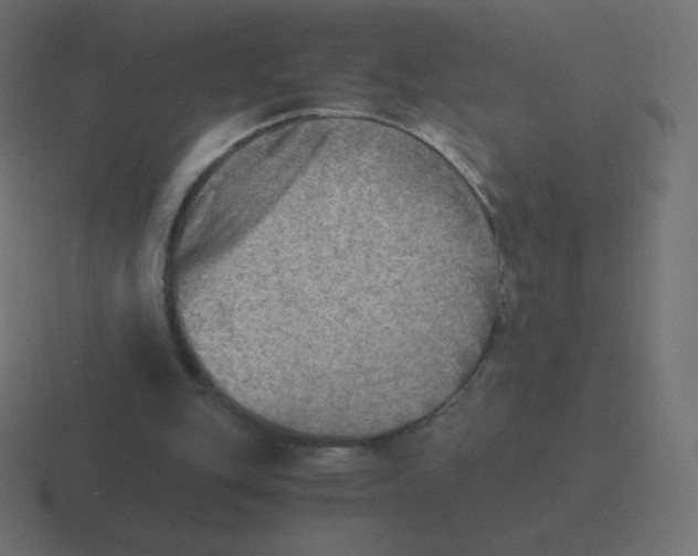 X0000116460151200912292014