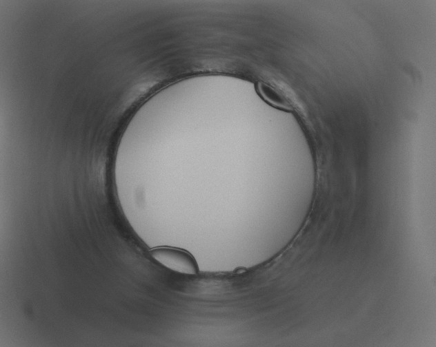 X0000116460154200912292014