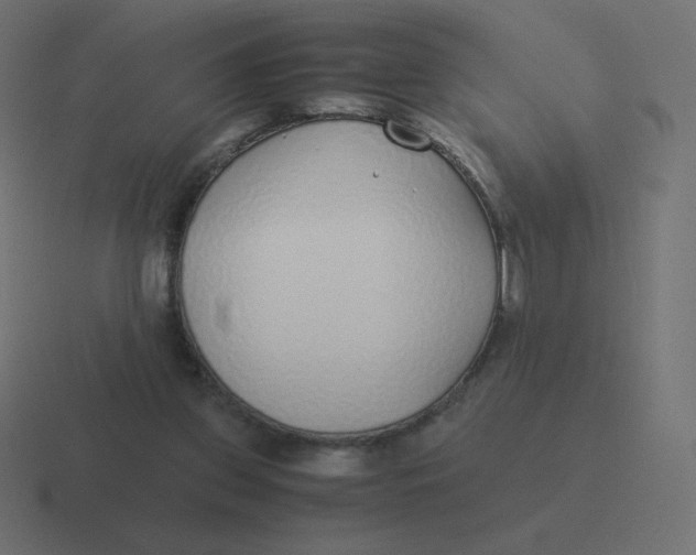 X0000116460157200912292014
