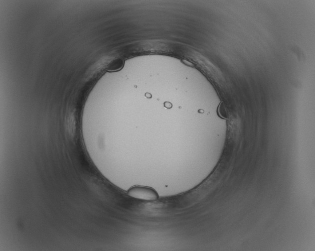 X0000116460158200912292014