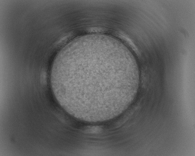 X0000116460161200912292014