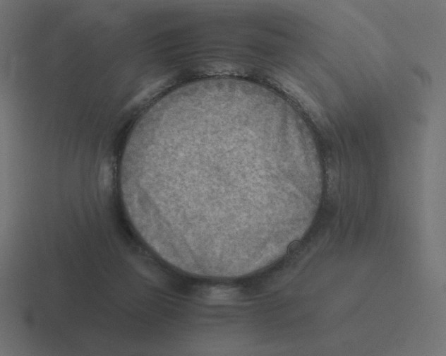 X0000116460165200912292014