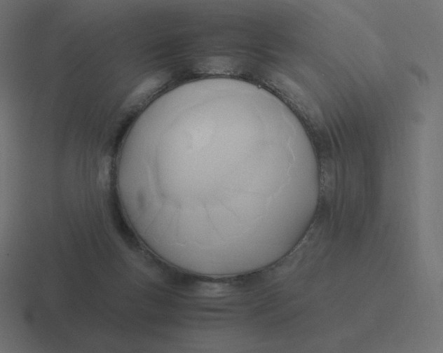 X0000116460167200912292014