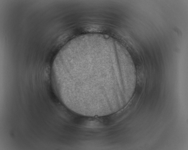 X0000116460175200912292014