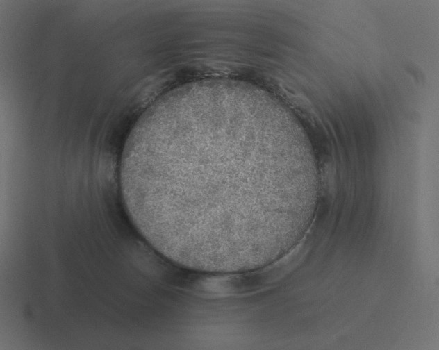 X0000116460178200912292014