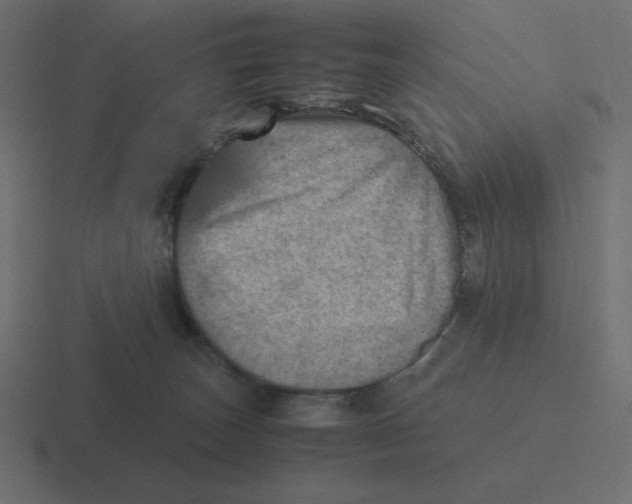 X0000116460179200912292014