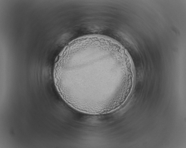 X0000116460182200912292014