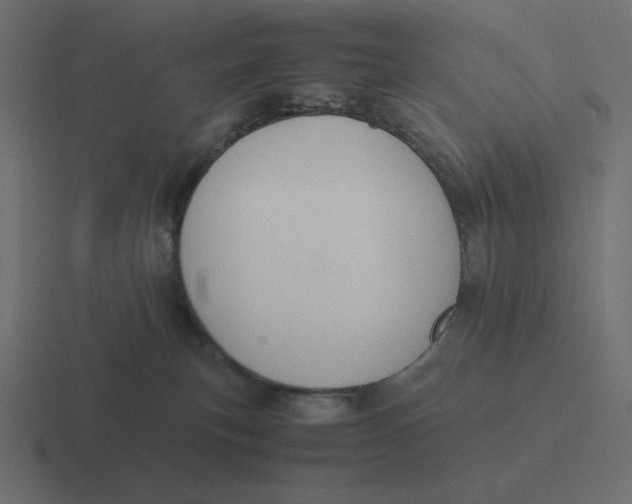 X0000116460183200912292014