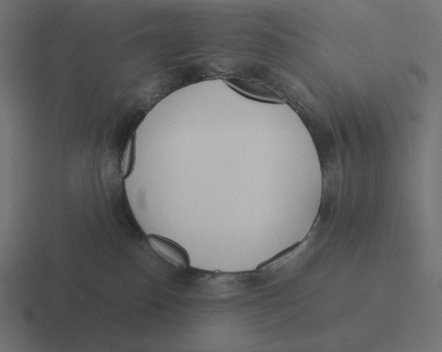 X0000116460186200912292014