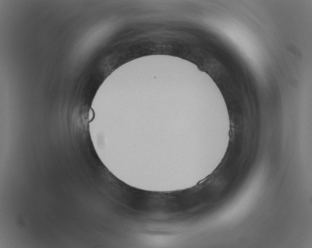 X0000116460190200912292014