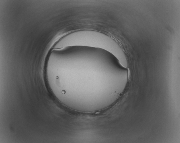 X0000116460195200912292014
