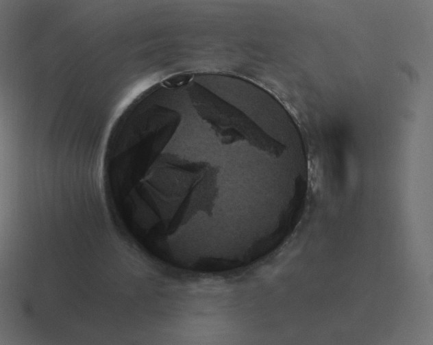 X0000116460196200912292014