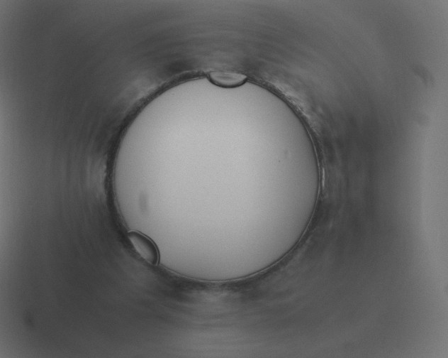 X0000116460201200912292014