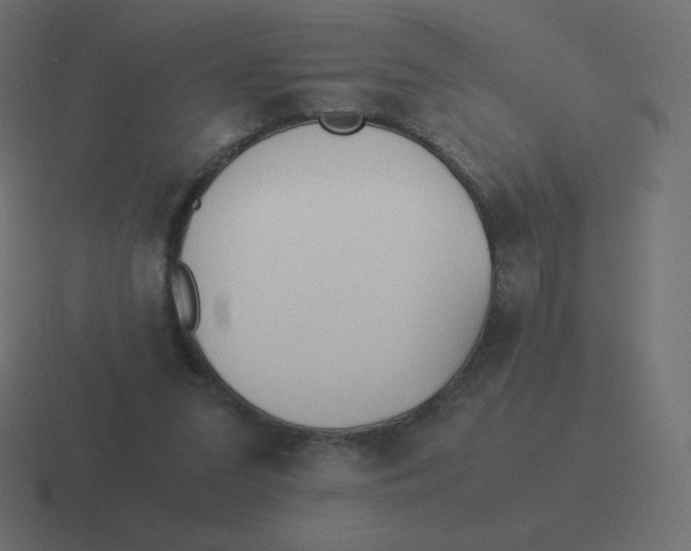 X0000116460207200912292013
