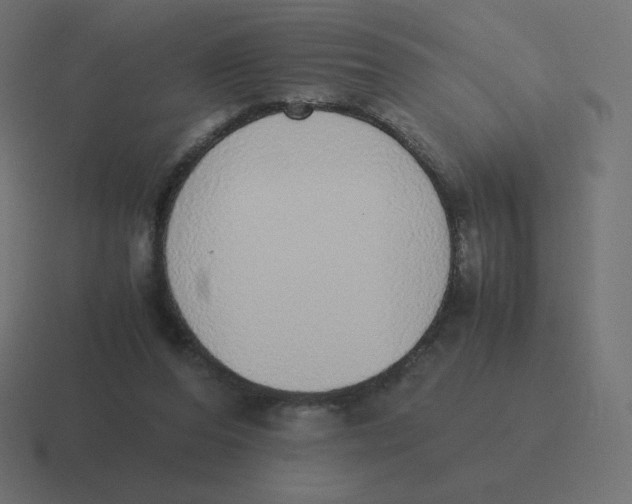 X0000116460208200912292013