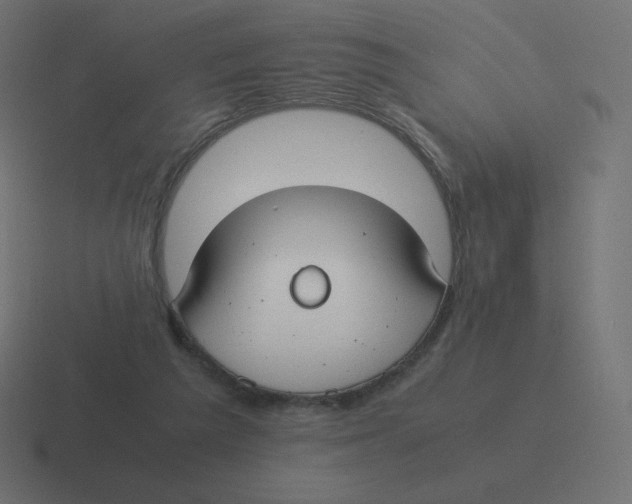 X0000116460209200912292013