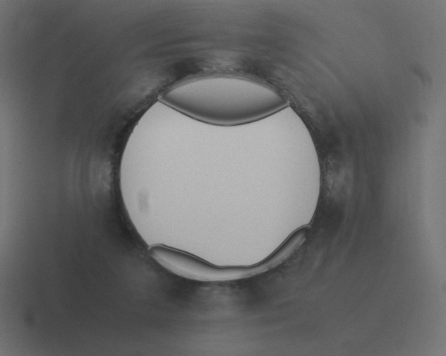 X0000116460211200912292013
