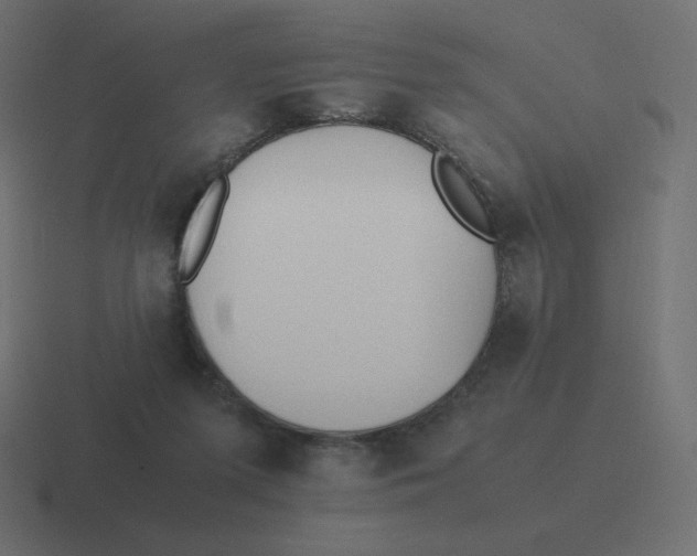 X0000116460215200912292013